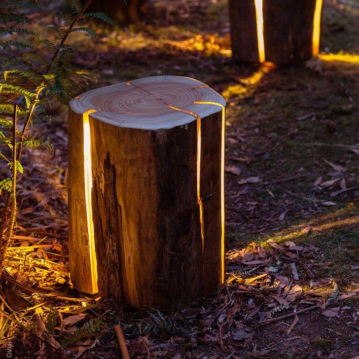 Tree Stump Lamp