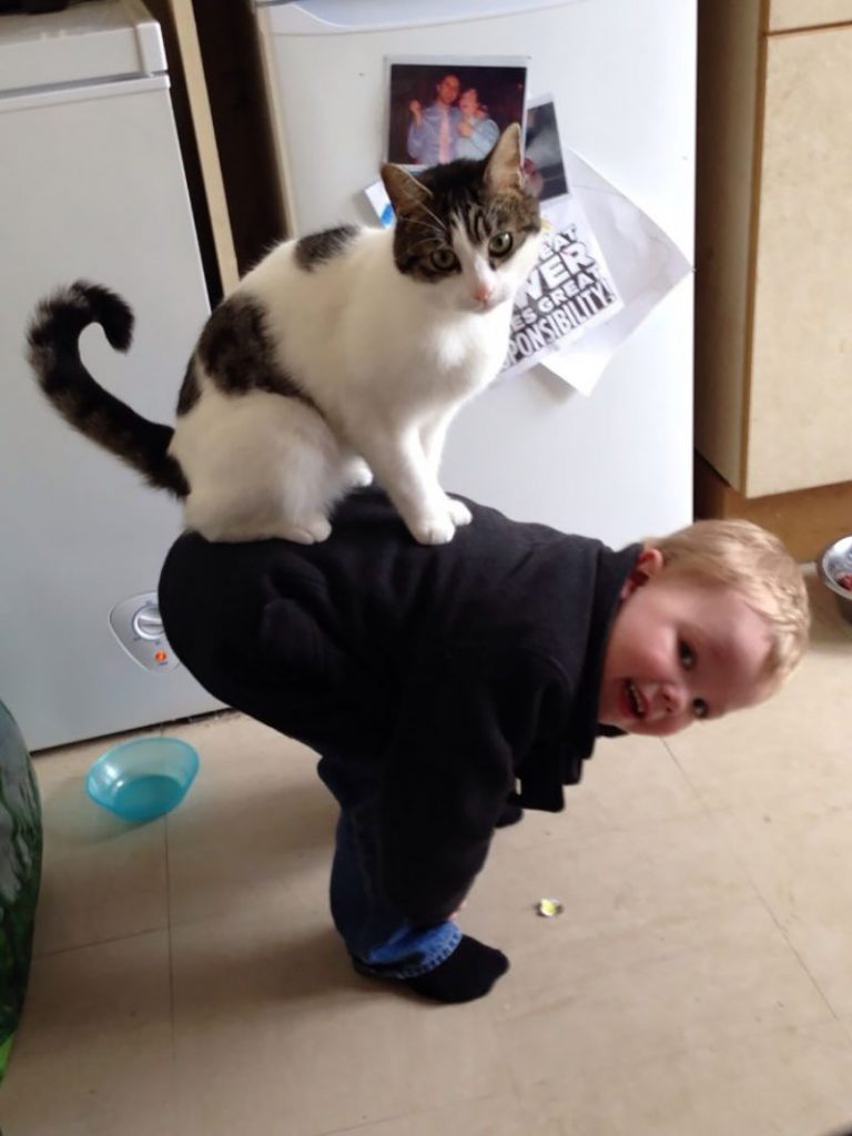cat and boy having fun