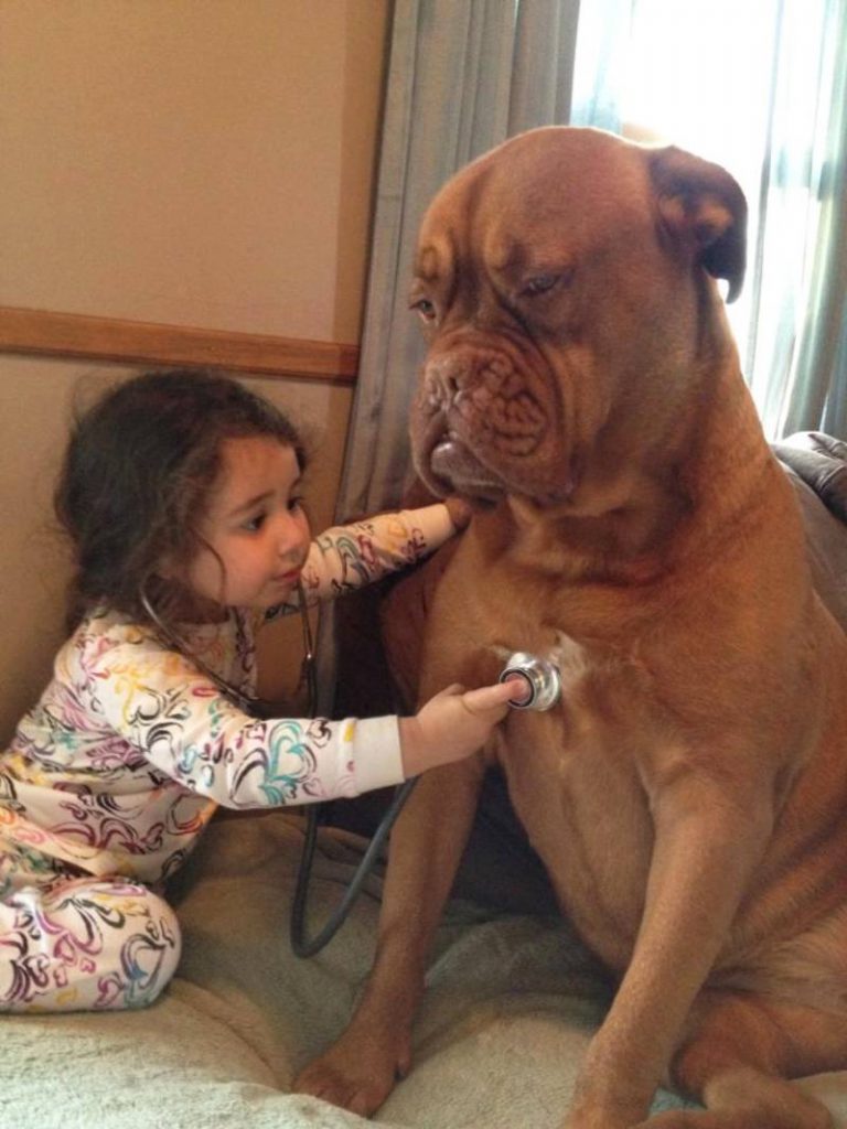 a kid playing doctor doctor with dog