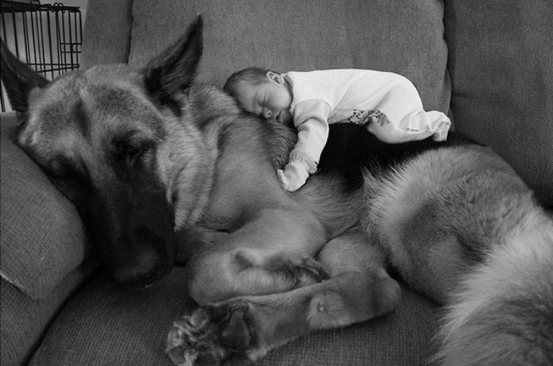 kids need pets - sleeping together