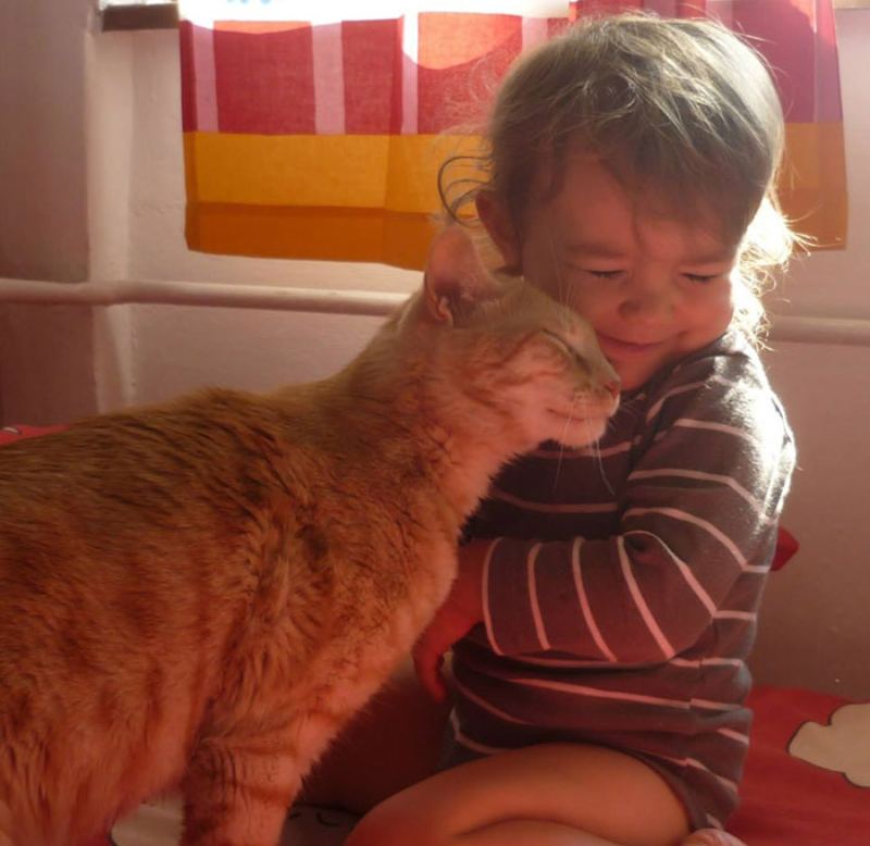 children need pets - cats snuggling