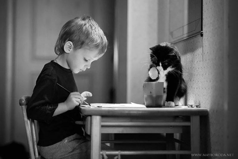 cat and a kid playing together