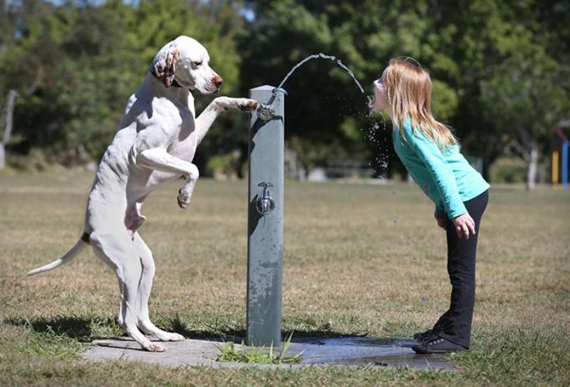 dog helping a girl drink water
