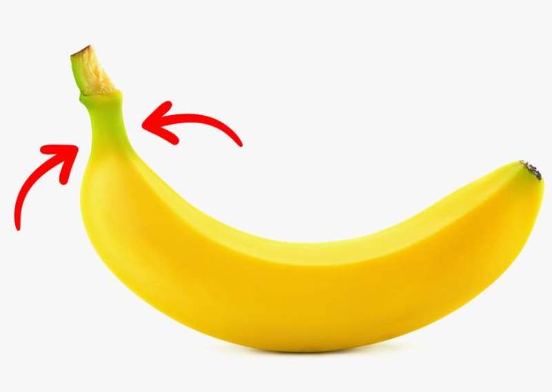 weird fact about banana, everyday things