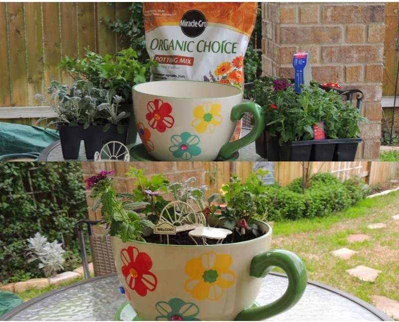 A whole garden in a teacup