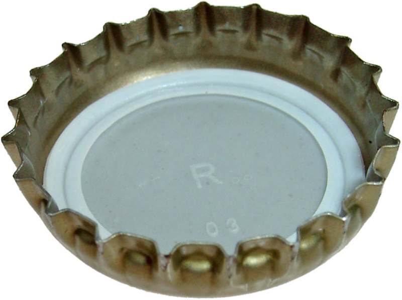 Bottle lid