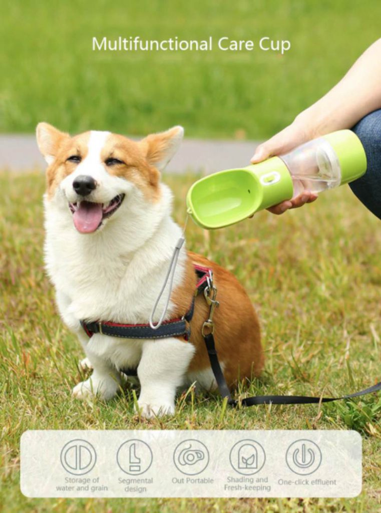 portable water bottle that is half bottle, and half snack feeder for dogs 