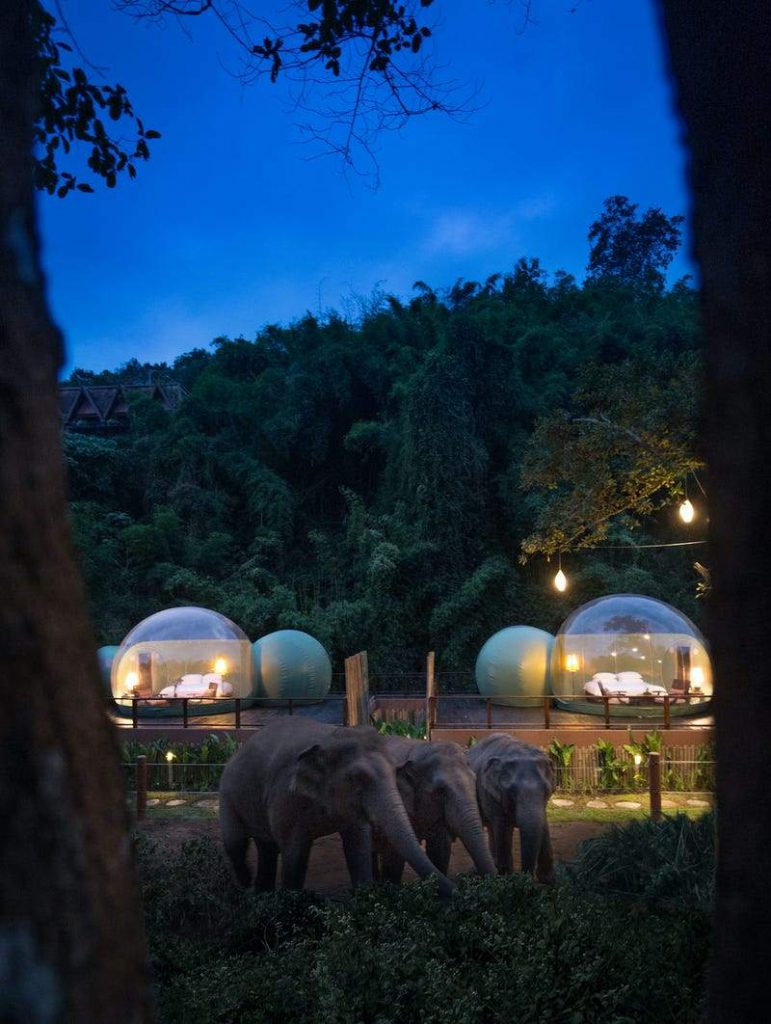 elephant camp and resort