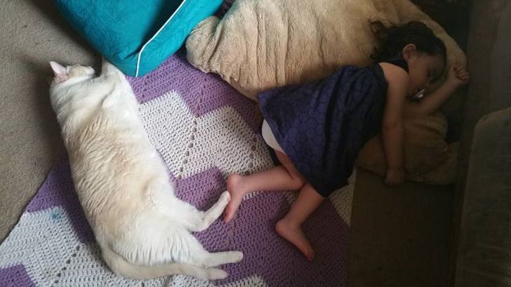 girl has her feet touching her cat's feet, heartwarming photos 