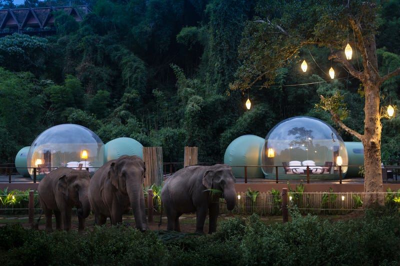 Anantara Golden Triangle Elephant Camp And Resort