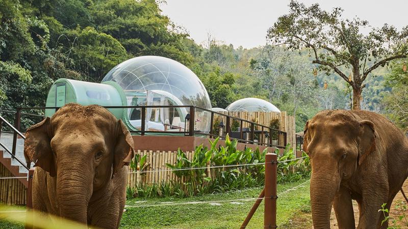 Anantara Golden Triangle Elephant Camp And Resort - jungle bubbles