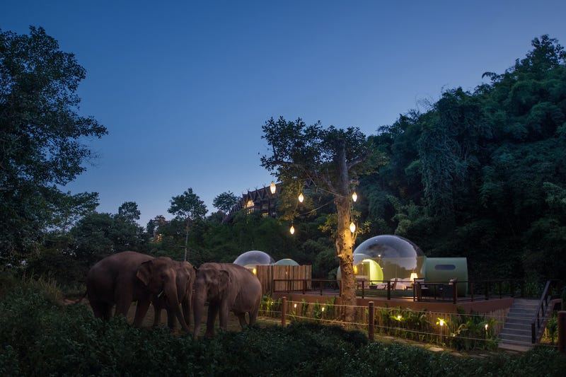 Anantara Golden Triangle Elephant Camp And Resort jungle bubbles