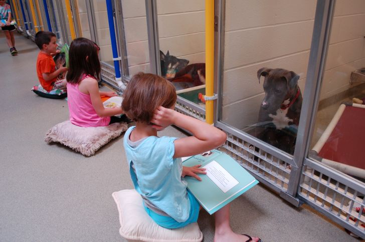 kids read to the dogs in the shelter, to help them get used to people