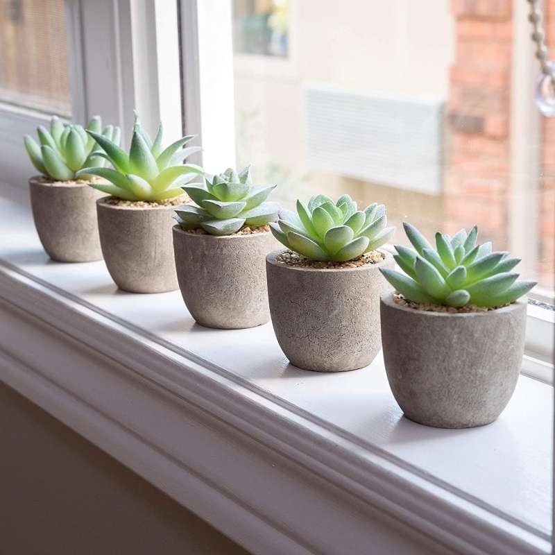 set of 5 artificial succulent plants