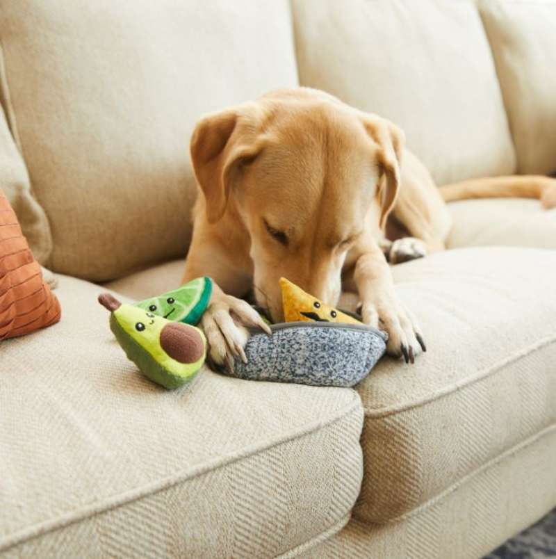 Frisco Hide and Seek Plush Guacamole Dog Toy