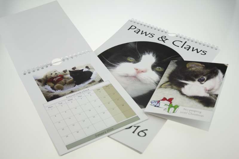  Cat Calendar