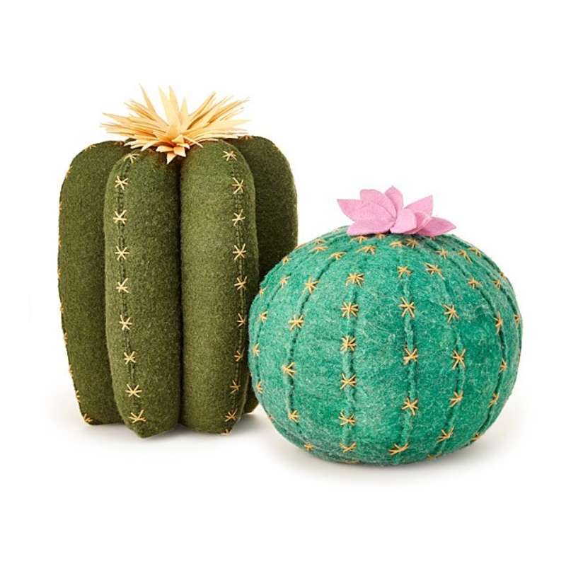 Cactus Bloom Throw Pillows