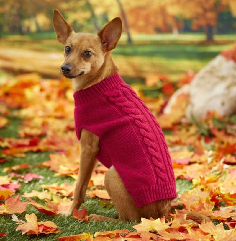 Frisco Dog Cable Knitted Sweater - pet accessories