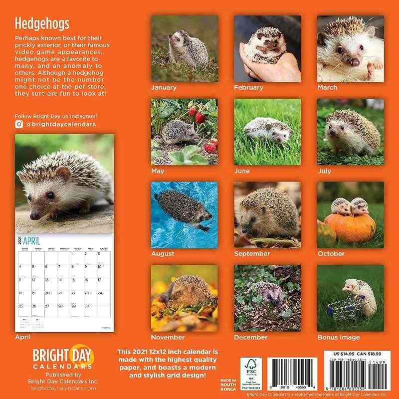 2021 Hedgehogs Wall Calendar by Bright Day