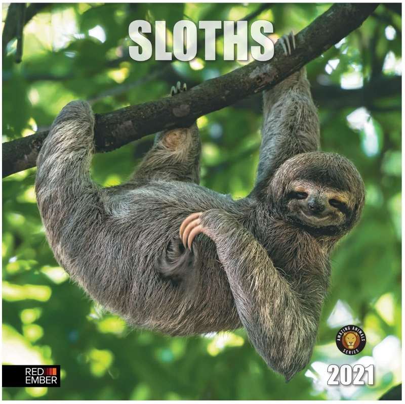 Sloths - 2021 Wall Calendars by Red Ember Press