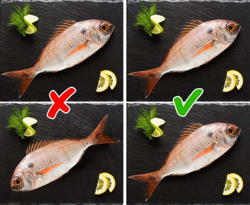 Do not flip fish