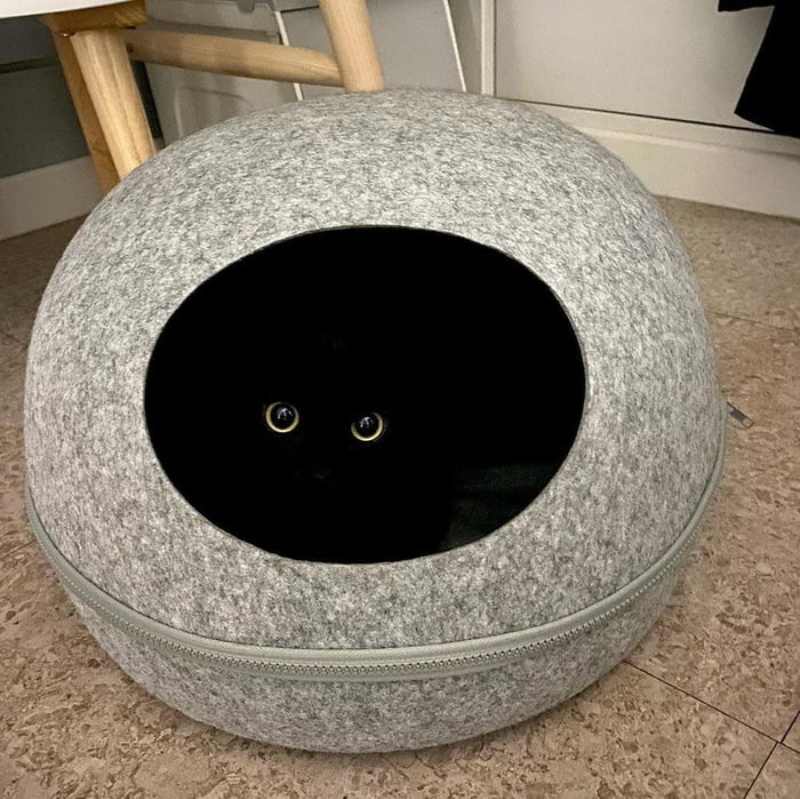 Cat in a void