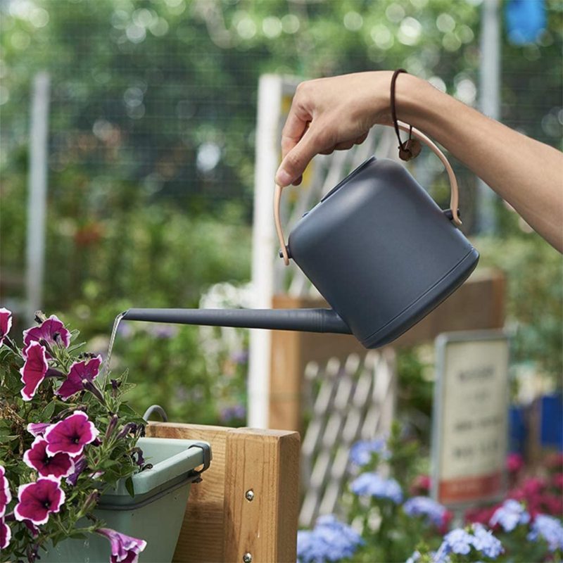 stunning watering can