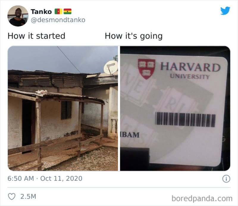 Man makes it to Harvard, good stories 2020