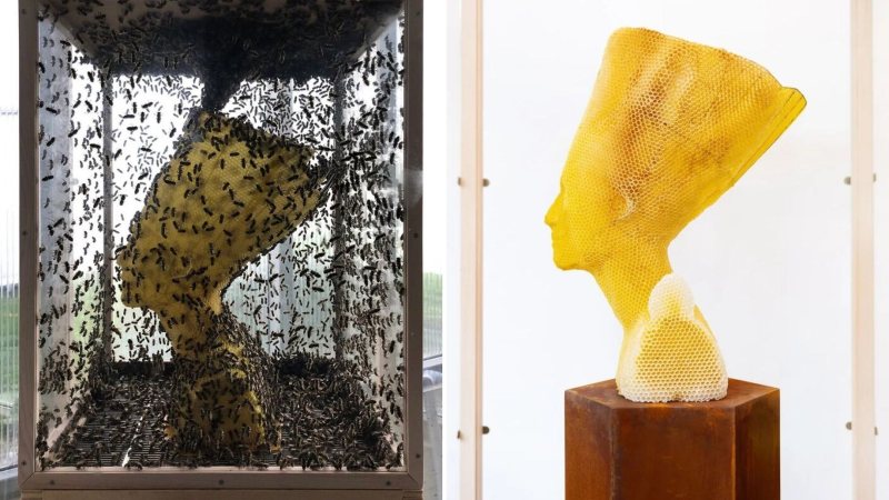 60,000 Bees Help In Creating This Beautiful Honeycomb Nefertiti Statue
