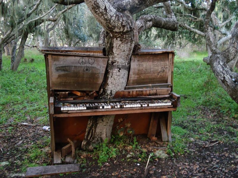 Old Piano tree