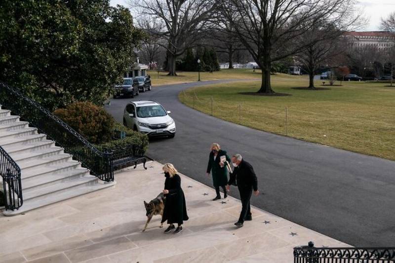champ and major biden 1