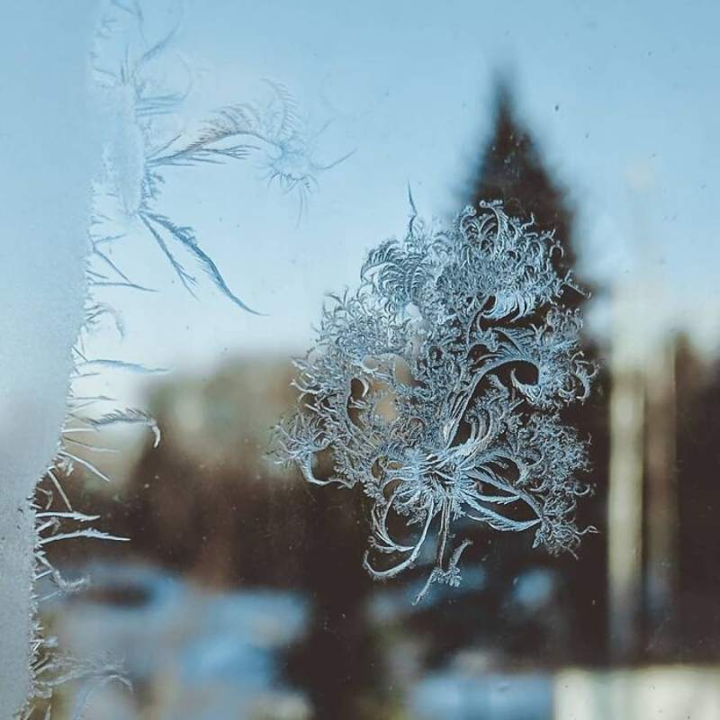 window snow flakes