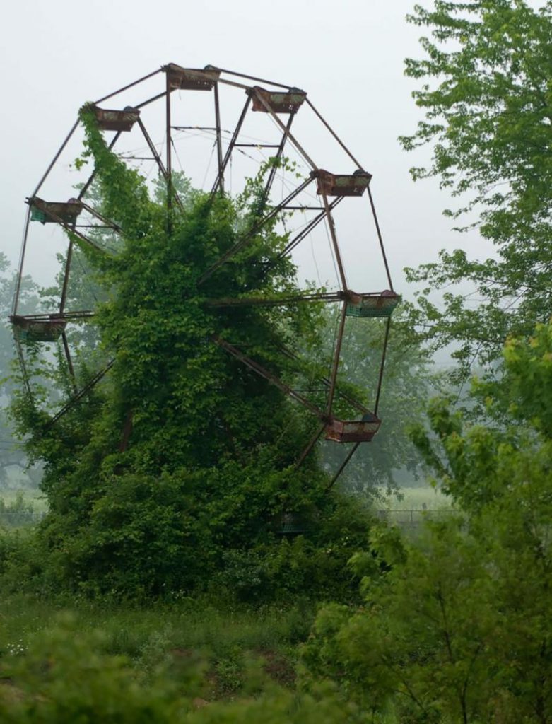 Overgrown Ferris Wheel