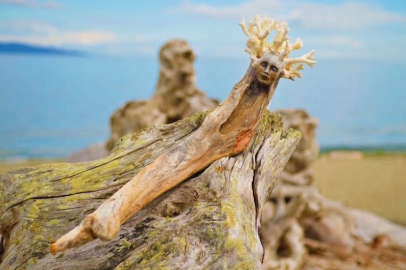 Debra Bernier driftwood sculptures