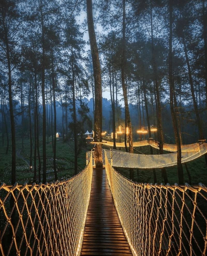 Magical Bridge Of Lights , Orchid Forest Cikole 
