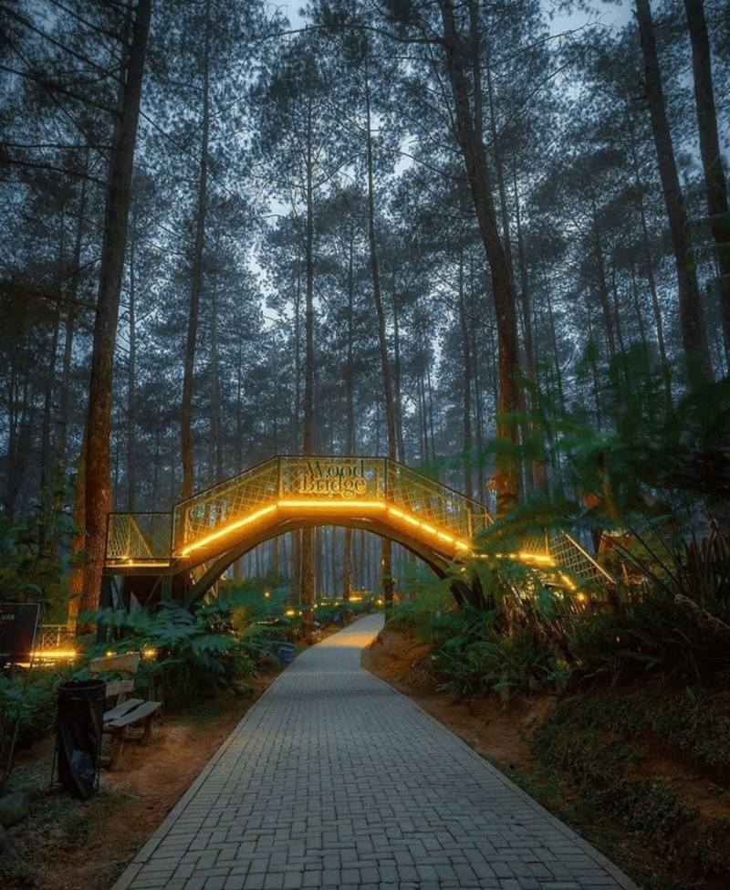 Orchid Forest Cikole , magical bridge of lights
