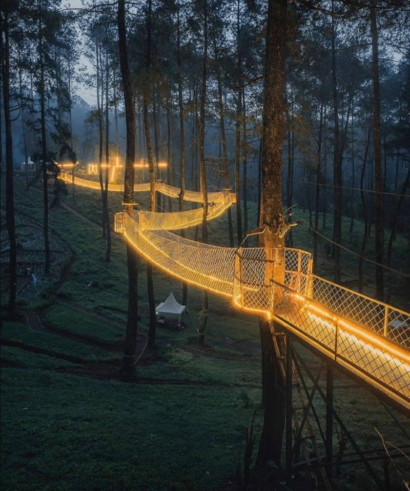 Magical Bridge Of Lights , Orchid Forest Cikole 