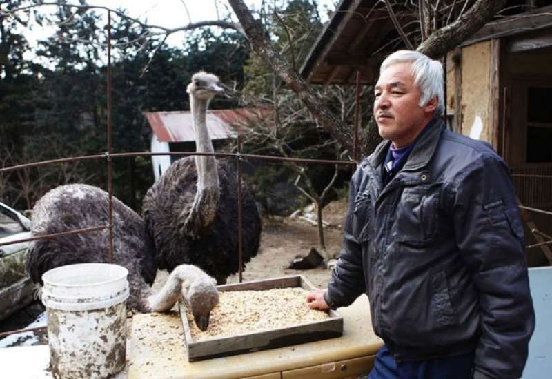 Two Men Still Care For All The Pets Left Behind During Fukushima Nuclear Disaster 2