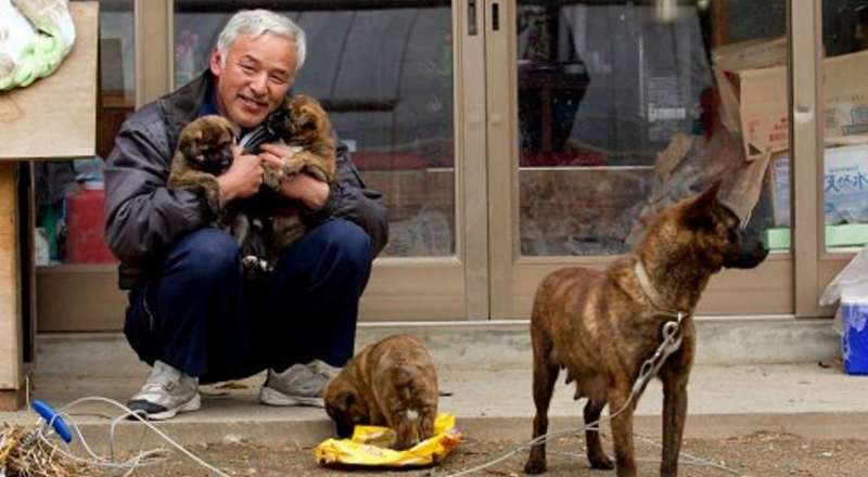 Two Men Still Care For All The Pets Left Behind During Fukushima Nuclear Disaster 3