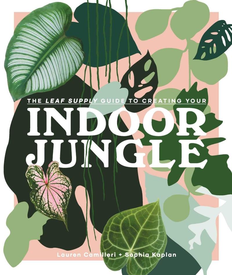Indoor Jungle Book Mother's day gift idea