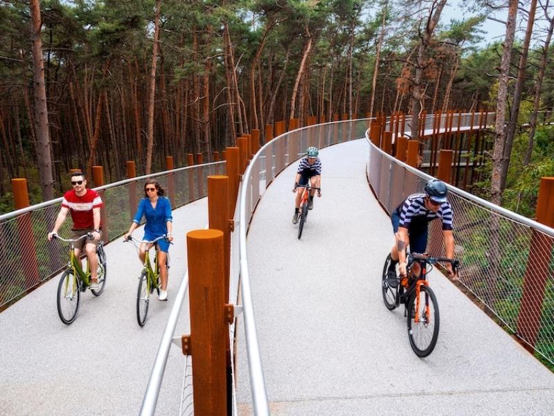 Elevated circular path to cycle through treetops