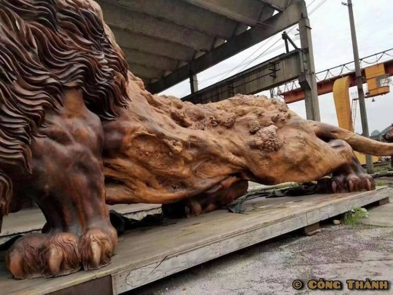 lion sculpture