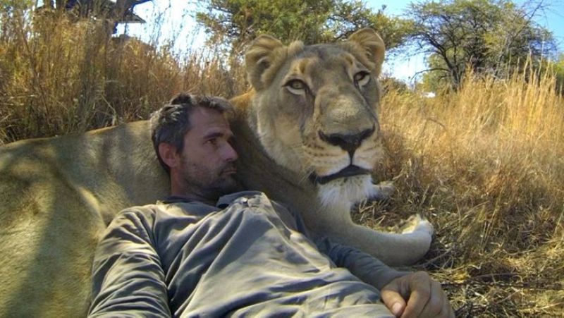 selfie with lioness