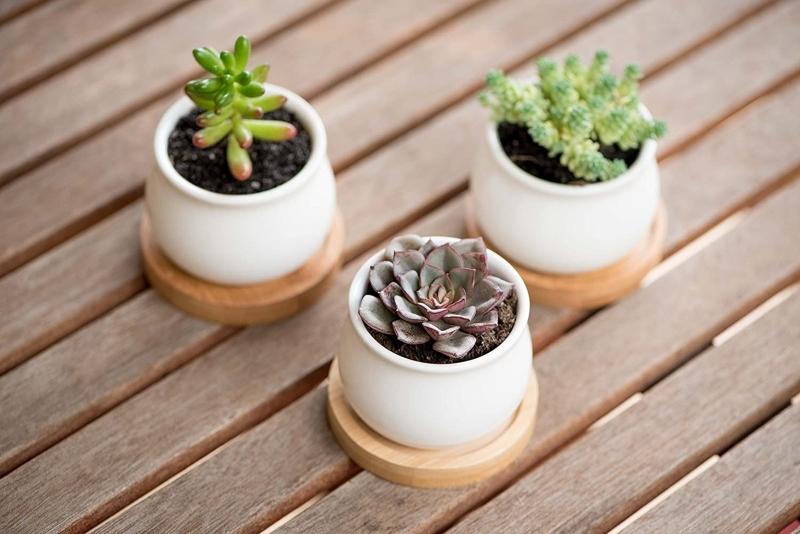 20 Products From Amazon That Will Make Your Bedroom Super Cozy - planters