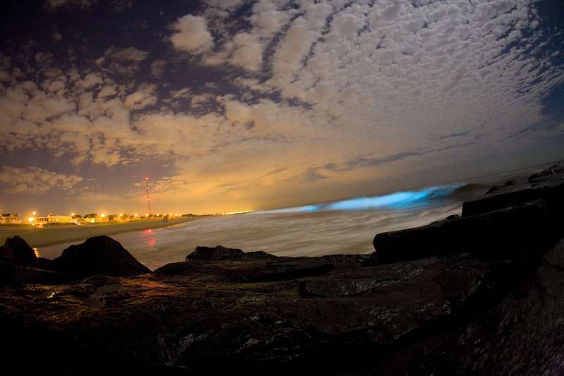 11 Bioluminescent Beaches From Around The World That Are Just Perfect