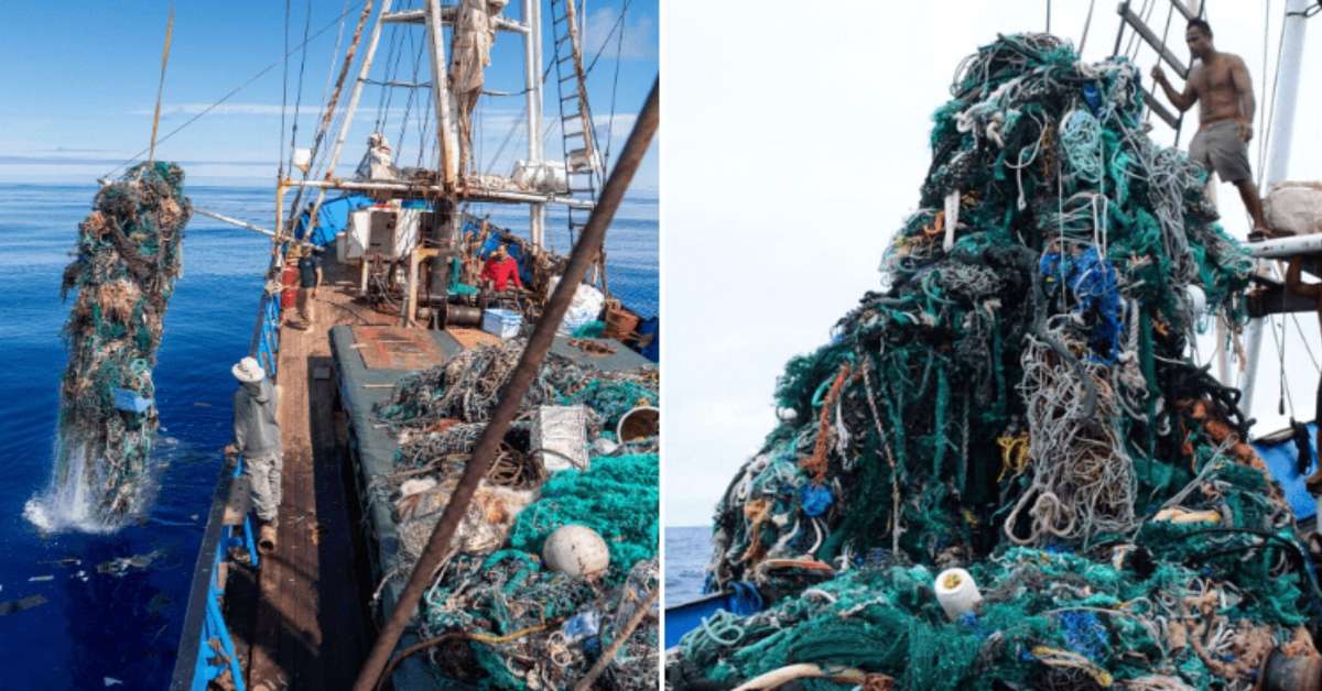 Hawaiian Crew Set Record For Removing Plastic From The Pacific Ocean